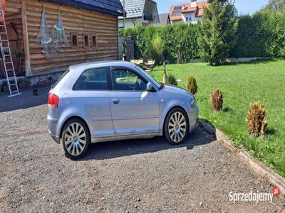 AUDI A3 8P 6500 Do lekkiej negocjacji