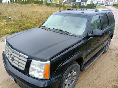 Cadillac Escalade 2004 5.3 benzyna + gaz