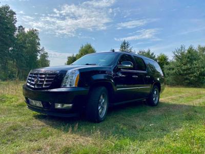 Cadillac Escalade - Platinum 2013