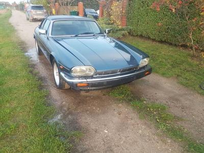 jaguar XJS V12 okazja