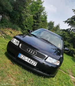 Używane Audi A3 8L (1996-2003) Audi A3 1.6 105 KM Bananowe skóry