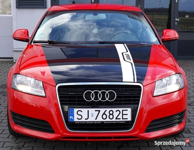 Audi A3 1.6 benz.102 kM Mpi Lifting 5-drzwi Klimatronic Alu