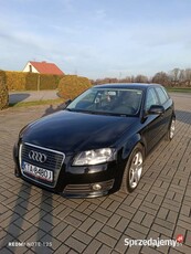 Audi A3 8P 2008r