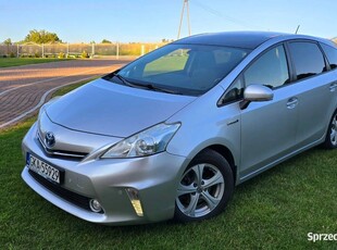 Toyota prius plus+