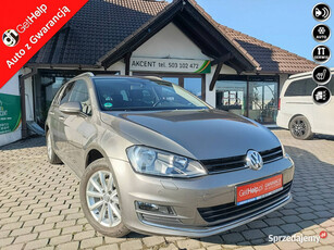 Volkswagen Golf Oryginalny lakier 100% - pełny serwis + wersja Lounge VII …