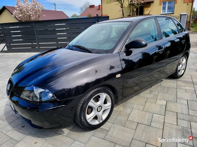 Seat Ibiza 1.4 2003 Rok Stan BDB