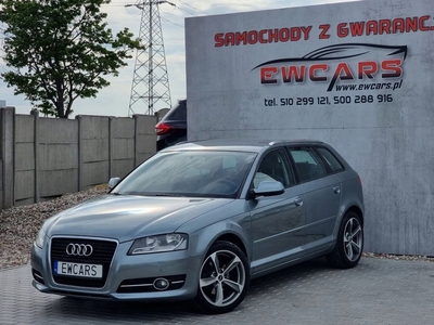 Audi A3 8P Hatchback 3d 1.4 TFSI 125KM 2010