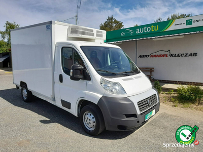 Fiat Ducato Mrożnia -22°C przygotowana do rejestracji