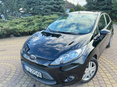 Ford Fiesta VII Van 1.6 Duratorq TDCi 90KM 2010