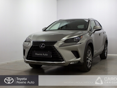 Lexus NX I 2019