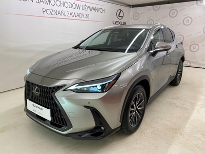 Lexus NX II 2023