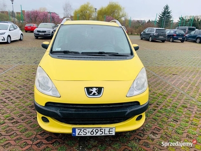 Peugeot 1007 diesel 1.4 hdi