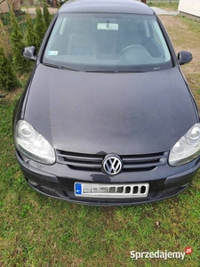 Volkswagen Golf V 1.6 Benzyna