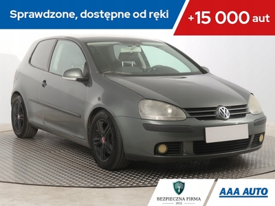 Volkswagen Golf V Hatchback 1.9 TDI 105KM 2003