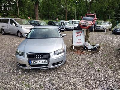 Audi A3 8P Hatchback 3d 1.6 102KM 2007