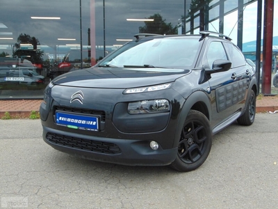 Citroen C4 Cactus I Nawigacja, Kamera