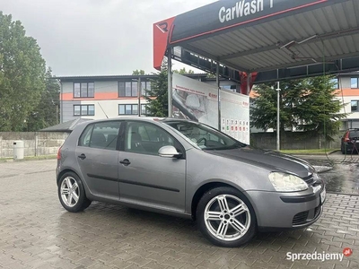 Volkswagen Golf 1.9TDI 105KM 2005 HAK