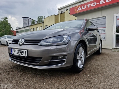 Volkswagen Golf VII Salon Polska, 2 właściciel, po serwisie, idealny!