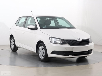 Skoda Fabia III , Salon Polska, Klima