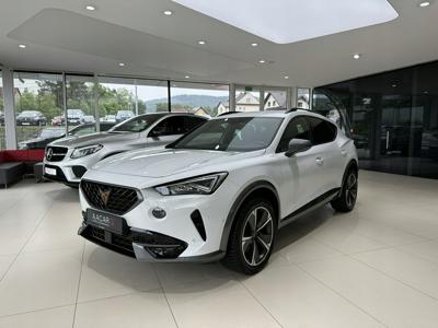 Cupra 2022