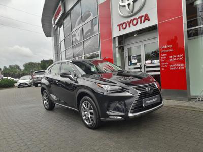 Lexus NX I SUV Facelifting 300 238KM 2019