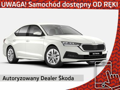 Skoda Octavia IV Liftback 2.0 TDI 115KM 2023