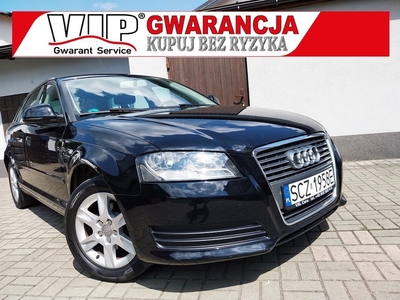 Audi A3 II (8P) BEZWYPADKOWY ZAREJESTROWANY