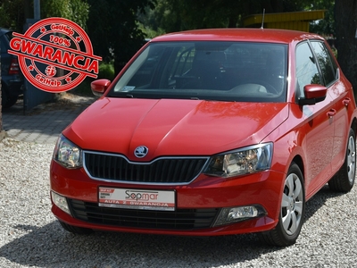 Skoda Fabia III VAN 1.2TSi 90KM 2016r. SALON Klima TEMPOMAT Fv23 VAT1 ciężarowy