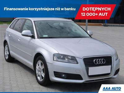 Audi A3 8P Hatchback 3d 1.4 TFSI 125KM 2009