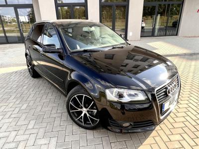 Audi A3 8P Hatchback 3d 1.6 TDI 90KM 2009