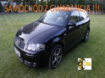 Audi A3 8P Hatchback 3d 1.9 TDI 105KM 2004