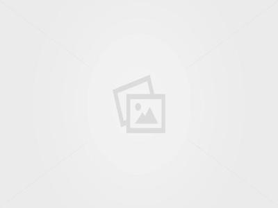 Citroen C4 Grand Picasso 7-Osobowy/Manual/Kamera/Navi/Panorama II (2013-)