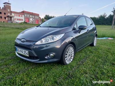 Ford Fiesta Mk 7 Econetic 1 6 5-Drzwi Polecam