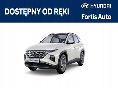 Hyundai 2023