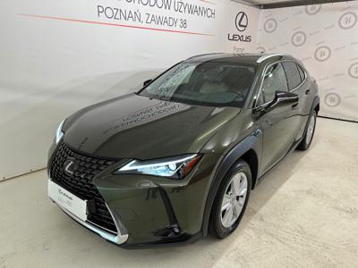 Lexus 2019