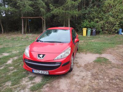 Peugeot 207. Oso