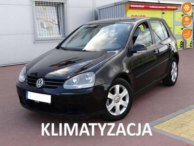 Volkswagen Golf V Hatchback 1.9 TDI 105KM 2004