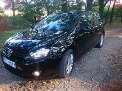 Volkswagen Golf VII Hatchback 3d 1.6 TDI-CR DPF 105KM 2012