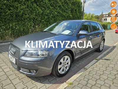 Audi A3 II (8P) Webasto ( oryginalne) / Klimatronic / 6 biegów / Podgrzewane fotele