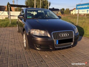 Audi A3 1.6 MPI 102 KM / bezwypadkowy / z Niemiec