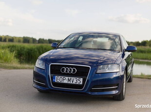 Audi A3 8P Piękne jasne skóry BOSE