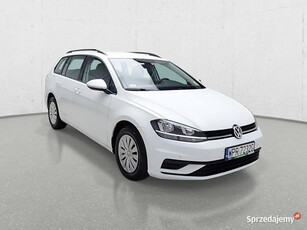 Volkswagen Golf VII (2012-)