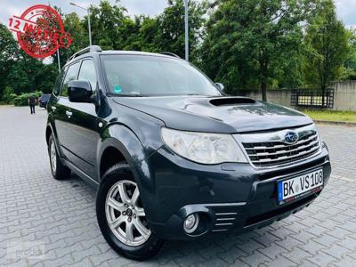 Subaru Forester III Subaru Forester 2.0D 4x4 Stan Bardzo Dobry Bogata Wersja Opłacony