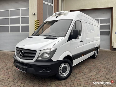 Mercedes-Benz Sprinter L2H2 Chłodnia Mroźnia