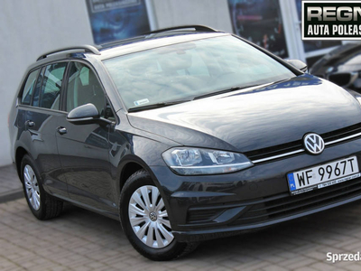 Volkswagen Golf Gwarancja SalonPL FV23% 1WŁ TSI 115KM LED P…