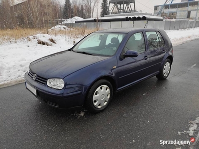 Volkswagen Golf IV 1.9 TDI 110KM Highline