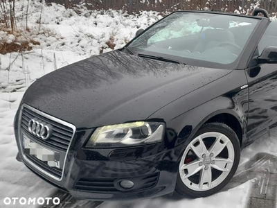 Audi A3 Cabriolet 1.9 TDI DPF Ambition