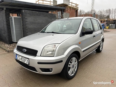 Ford Fusion 1.4 16V Salon Polska