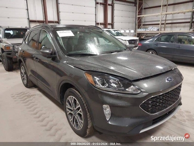 FORD KUGA ESCAPE 2020 USA STANY KANADA