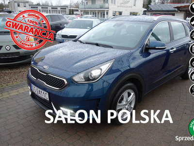 Kia Niro 1.6GDI 105KM Hybryda Salon PL 1-wł Kamera Navigacj…